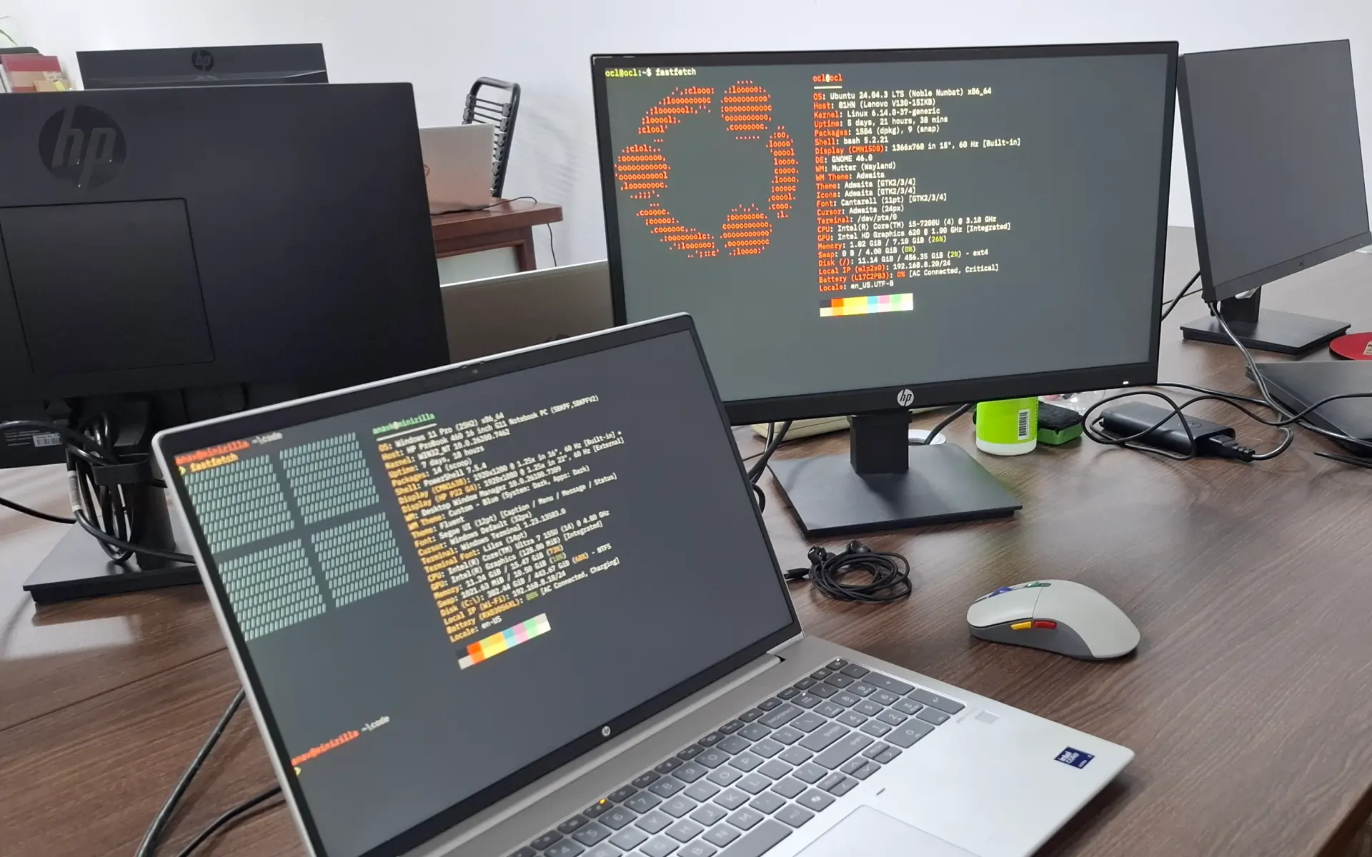 Software Developer